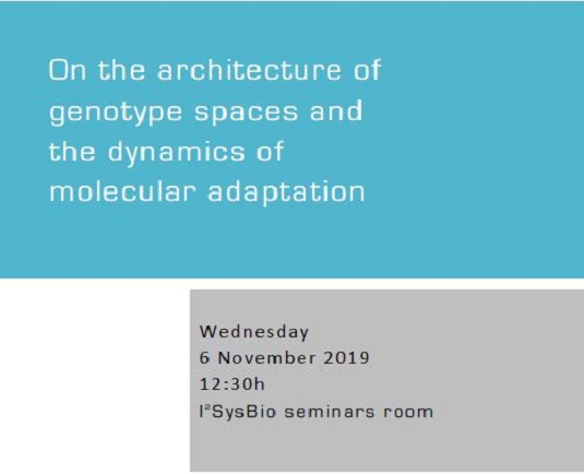 On the architecture of genotype spaces and the dynamics of molecular adaptation